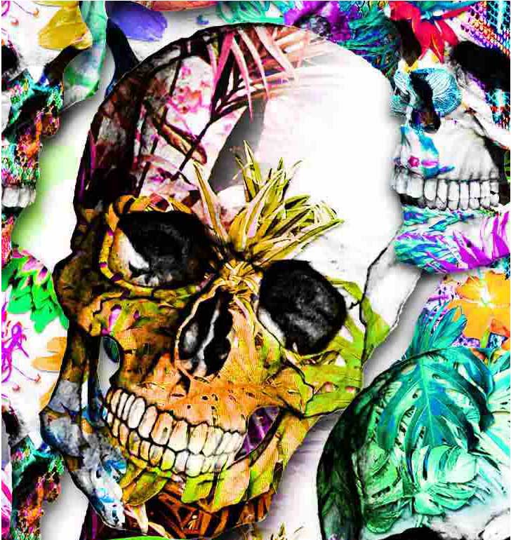 Skull in havy colors